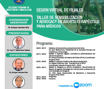 Sesión Virtual de Filiales – Tacna – 15 de diciembre 2020