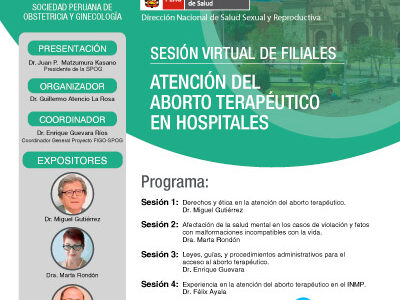 Sesión Virtual de Filiales – Hospital de Ayacucho – 17 de marzo 2021