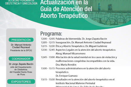 Sesión Virtual Zoom – Taller: GUÍA DE ATENCIÓN DEL ABORTO TERAPÉUTICO – 13 de mayo de 2021